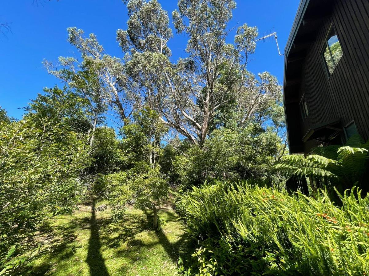 Sublime Cedar Lodge Leura Kültér fotó