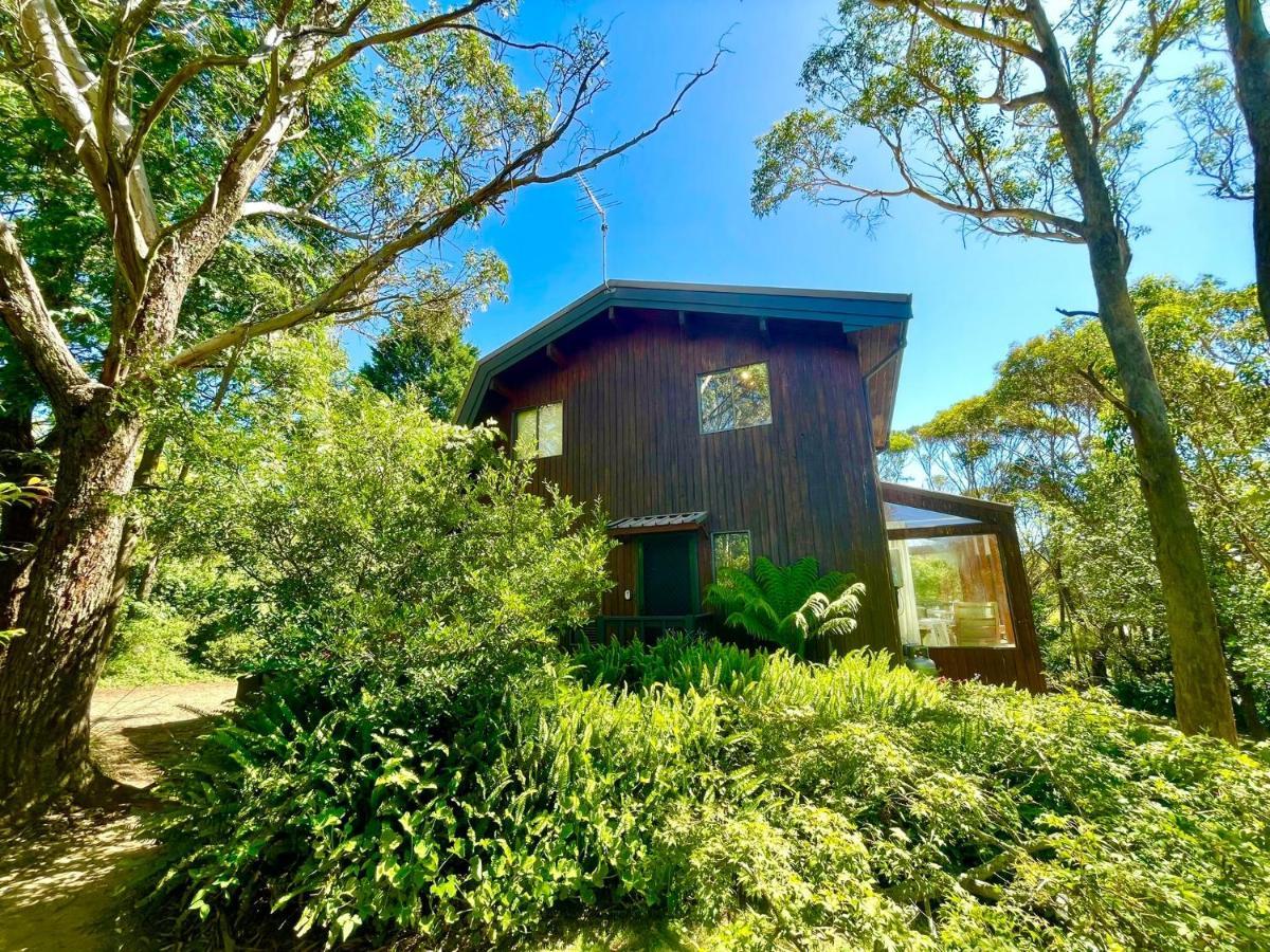Sublime Cedar Lodge Leura Kültér fotó