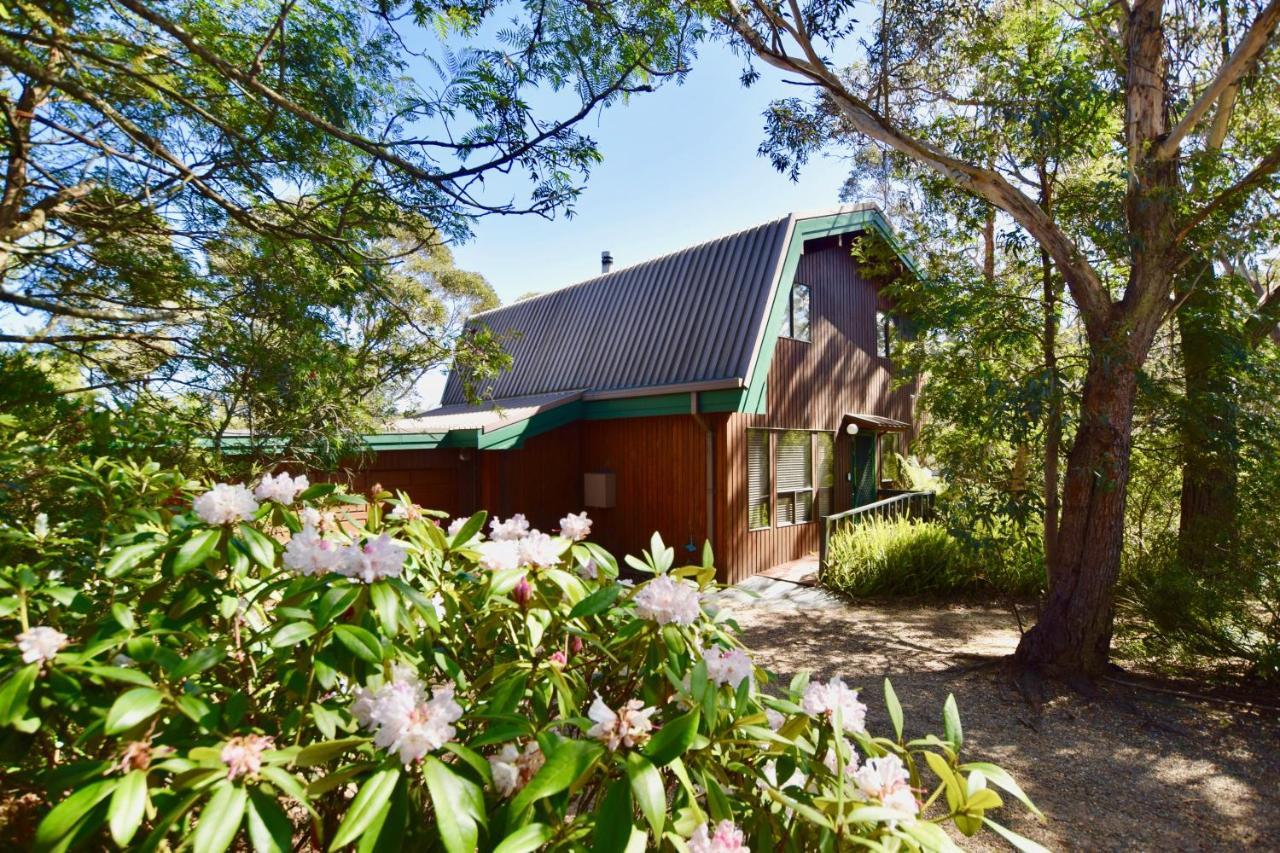 Sublime Cedar Lodge Leura Kültér fotó